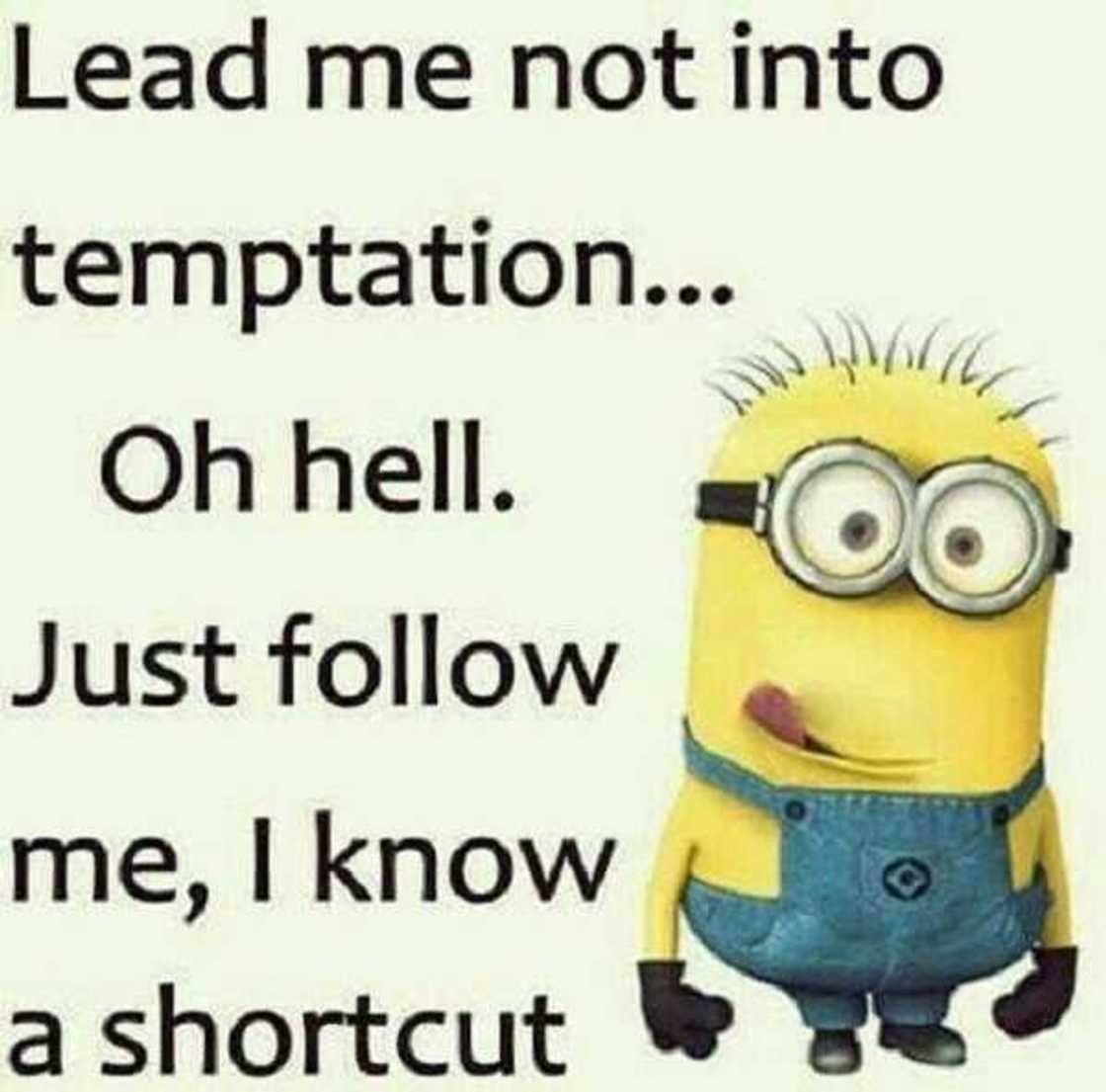 despicable me memes