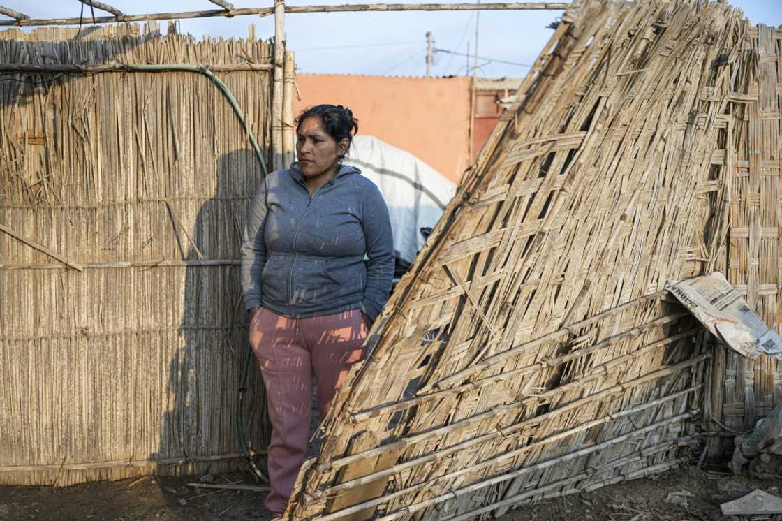 When Mireya Minaya was pregnant she was found to have 142 micrograms of arsenic per liter of urine