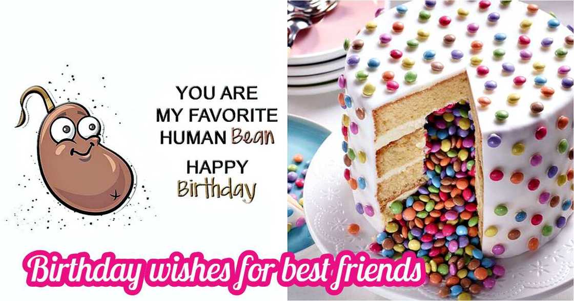 Funny birthday wishes for friends