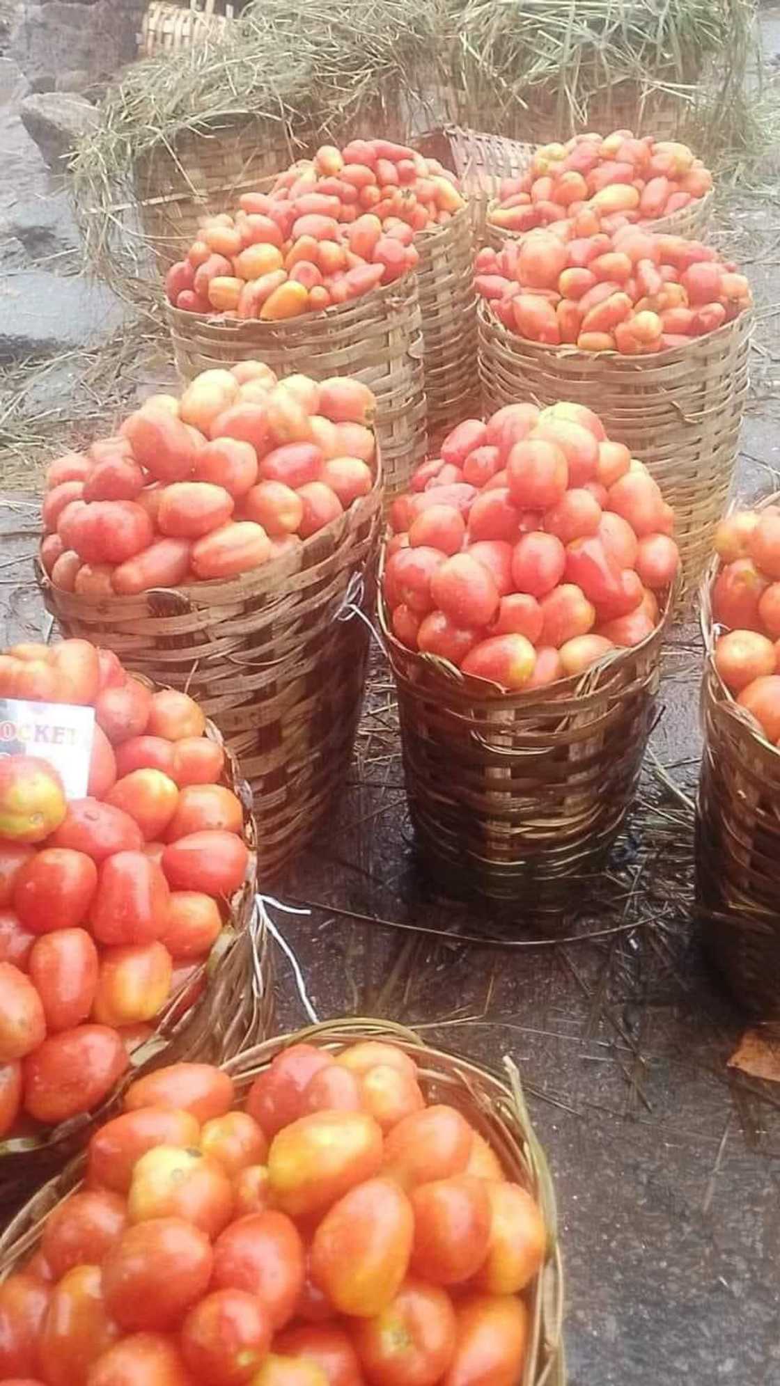 Farashin tumatir ya tashi a kasuwannin Legas