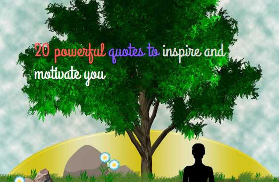 powerful quotes powerful quotes