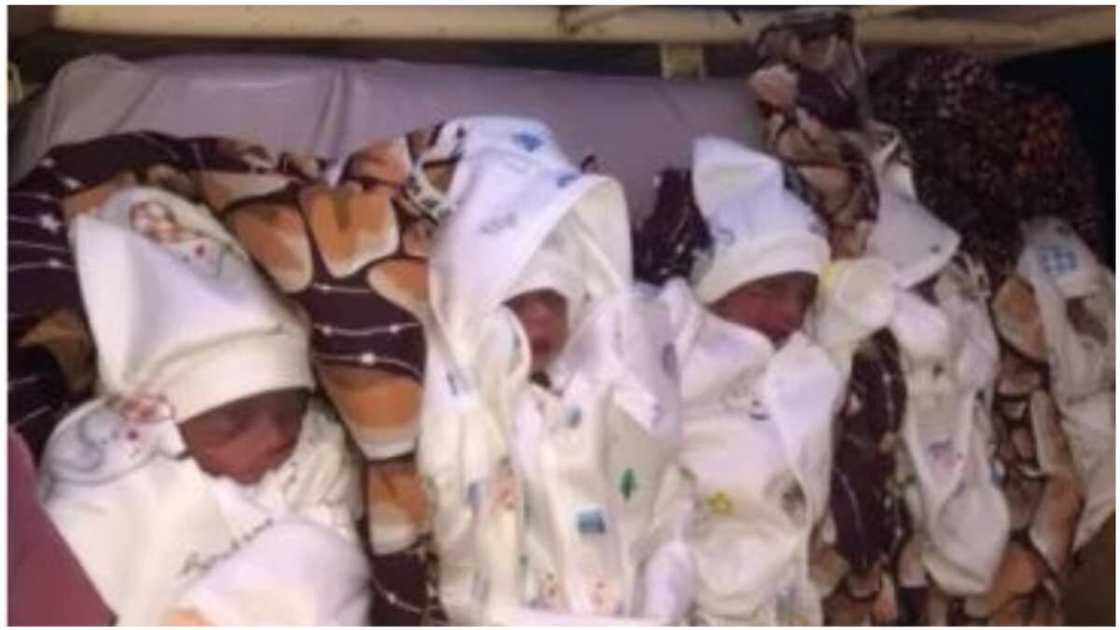 Katsina mother/5 children born at the same time/Mother of 18