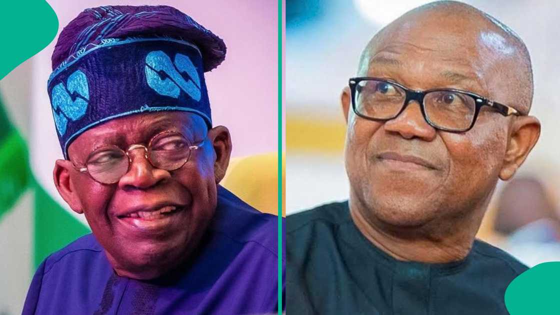 Marcel Ngogbehei, Directorate of Mobilisation and Integration, Tinubu Must Stay Movement, 2027 Nigerian elections, Obidient Movement, Bola Tinubu, Peter Obi Marcel Ngogbehei, Directorate of Mobilisation and Integration, Tinubu Must Stay Movement, 2027 Nigerian elections, Obidient Movement, Bola Tinubu, Peter Obi
