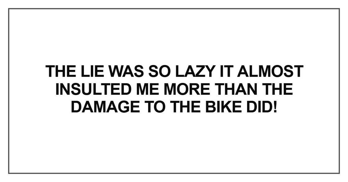 The lie was so lazy it almost insulted me more than the damage The lie was so lazy it almost insulted me more than the damage