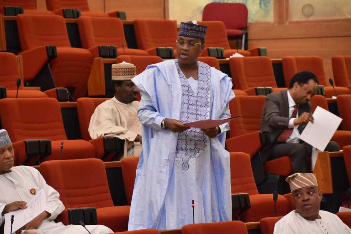 Senator Marafa Senator Marafa