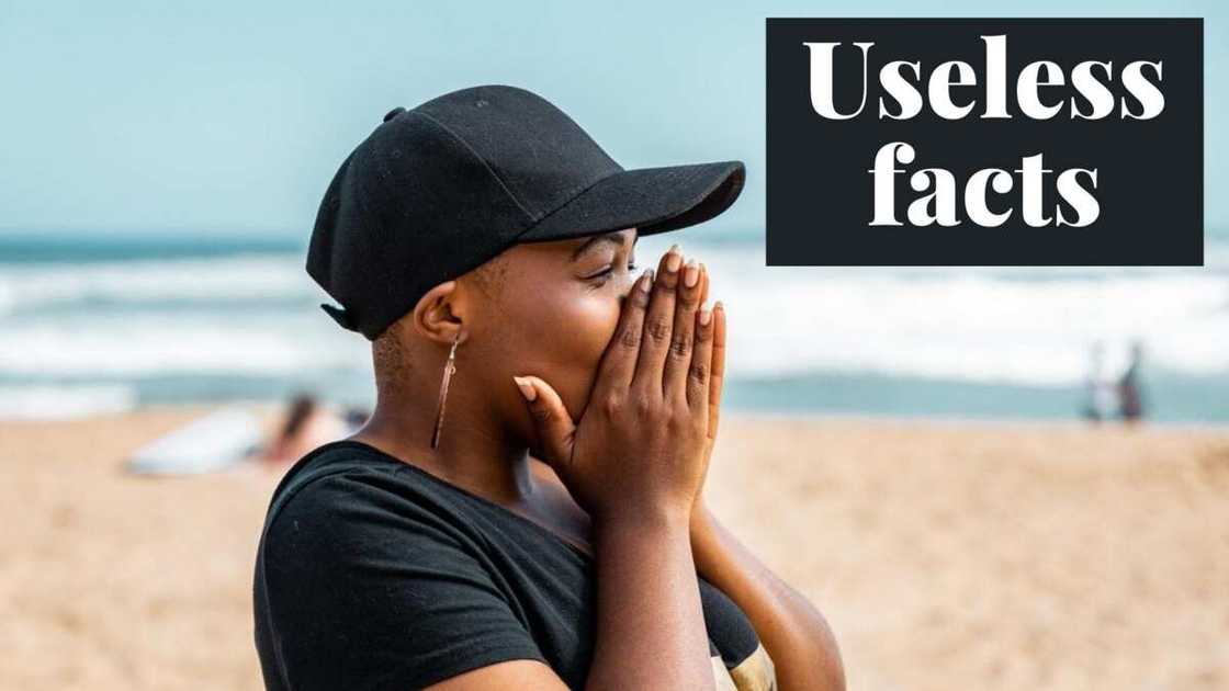 useless facts useless facts