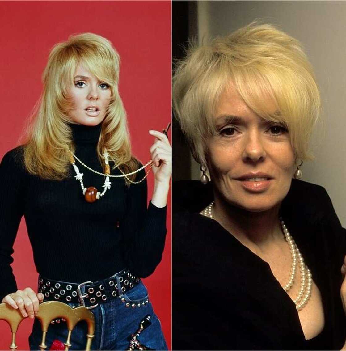 Joey Heatherton now and then Joey Heatherton now and then
