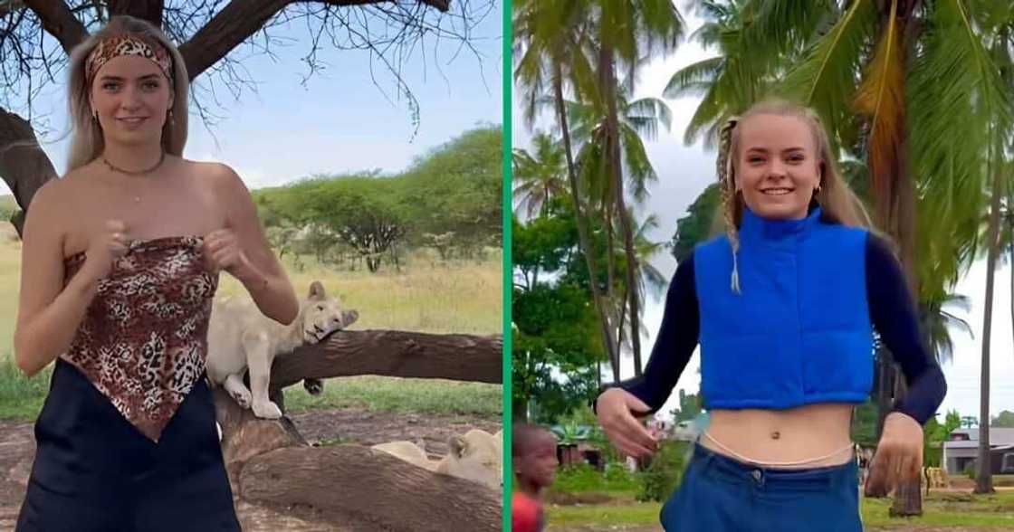 Tshwala Bami Challenge: Woman dances in front of lion