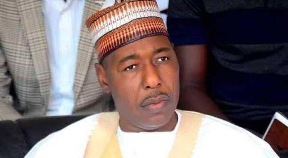 Gwamna Zulum ya dakatar da shugabannin makarantar da ya yi karatu yayin da ya kai ziyarar bazata Gwamna Zulum ya dakatar da shugabannin makarantar da ya yi karatu yayin da ya kai ziyarar bazata