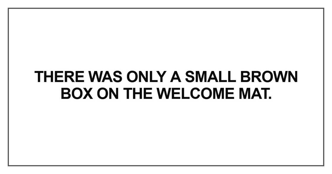 There was only a small brown box on the welcome mat.