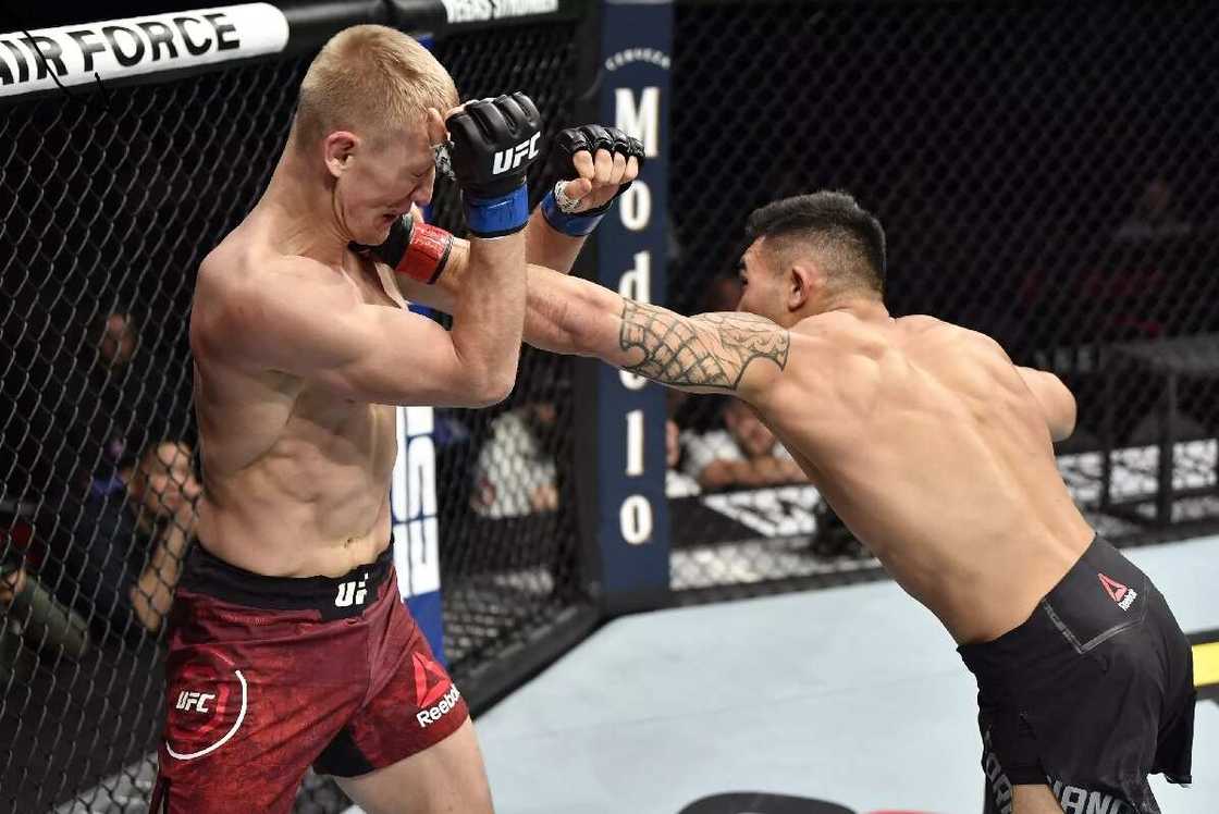 UFC 245 card UFC 245 card