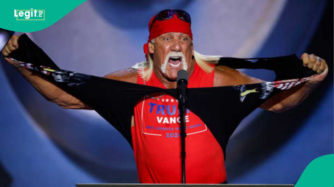 Hulk Hogan, WWE Wrestling, Terry Bollea, Hogan is dead, wrestling Hulk Hogan, WWE Wrestling, Terry Bollea, Hogan is dead, wrestling