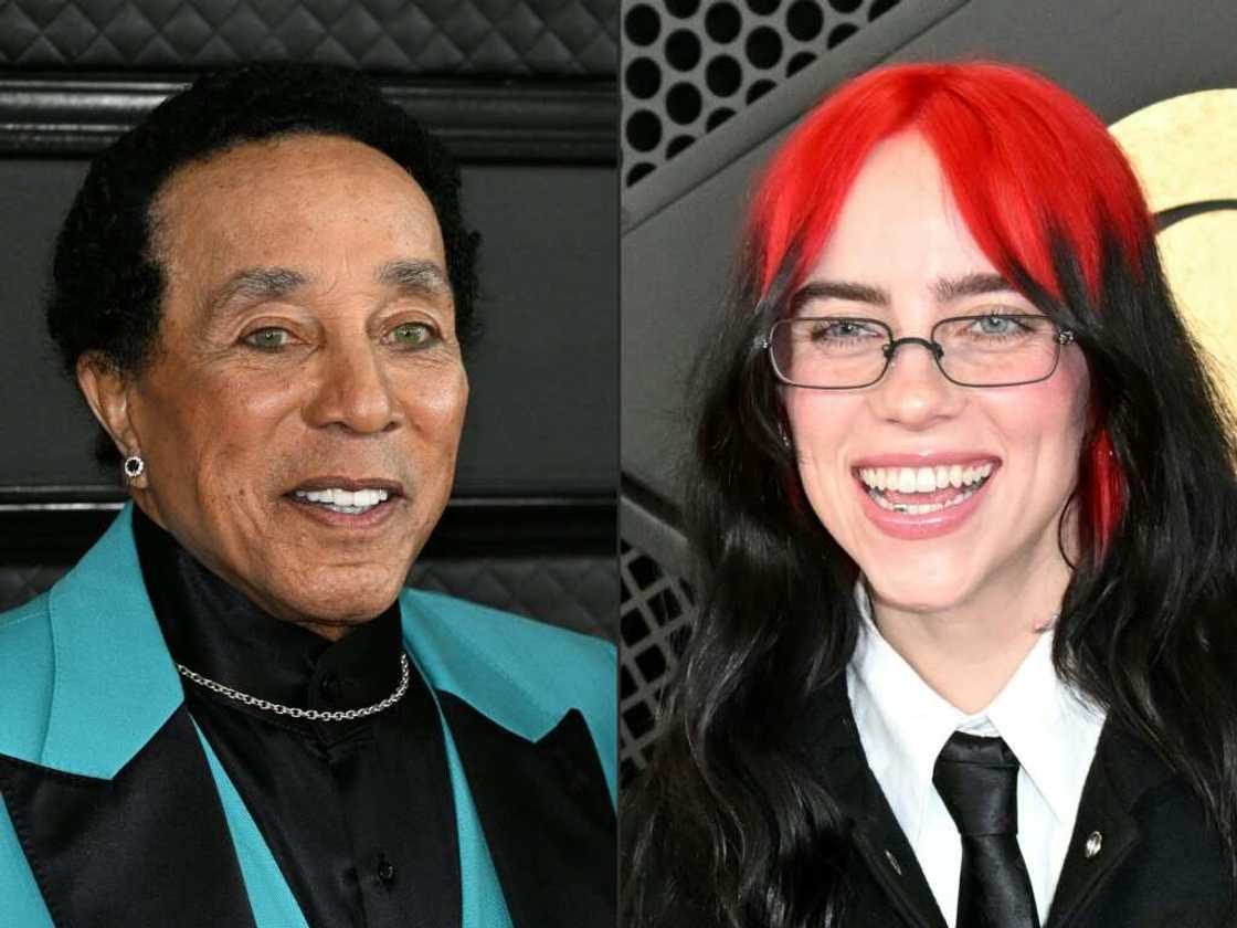 Smokey Robinson and Billie Eilish are amone hundreds of artists who have signed an open letter urging protections over the use of artificial intelligence in the arts Smokey Robinson and Billie Eilish are amone hundreds of artists who have signed an open letter urging protections over the use of artificial intelligence in the arts