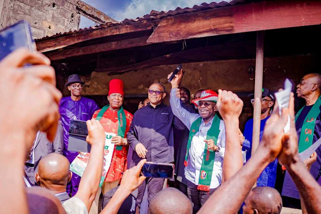 Peter Obi, Labour Party candidate