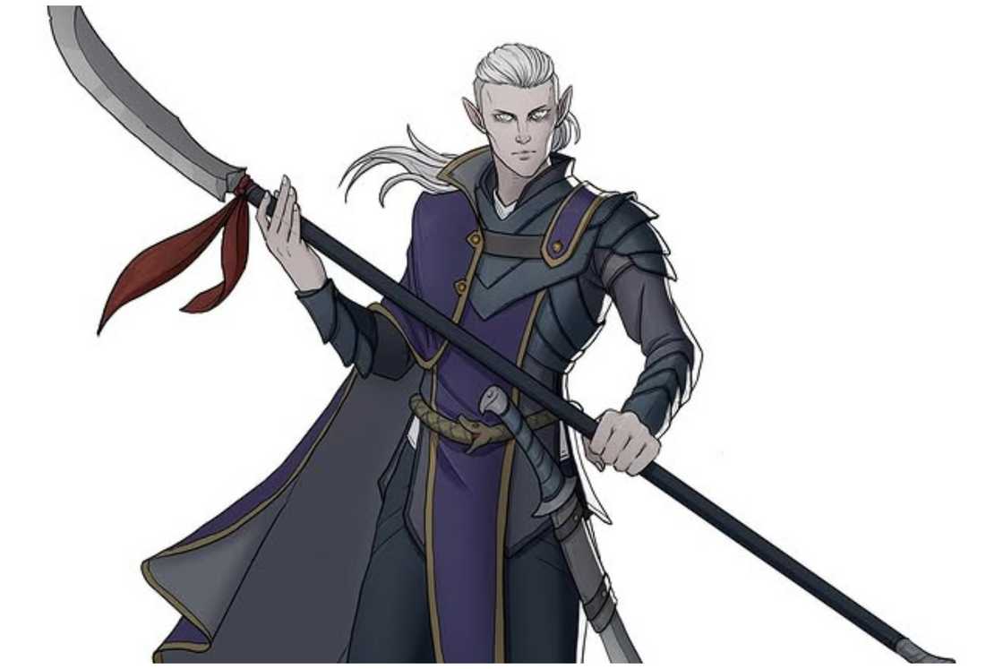Half-Elf Half-Elf