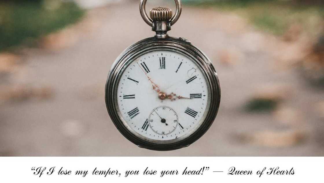 Alice in Wonderland movie quotes Alice in Wonderland movie quotes
