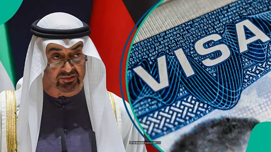 Golden Visa: Abu Dhabi announces amount foreign entrepreneurs must earn yearly