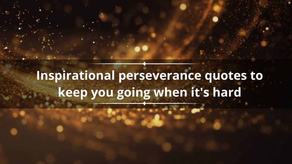 quotes about perserverance through hard times