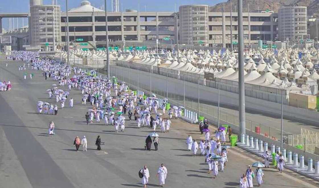 Saudiyya ta dakatar da wasu jami'ai bisa kawo cias ga alhazai