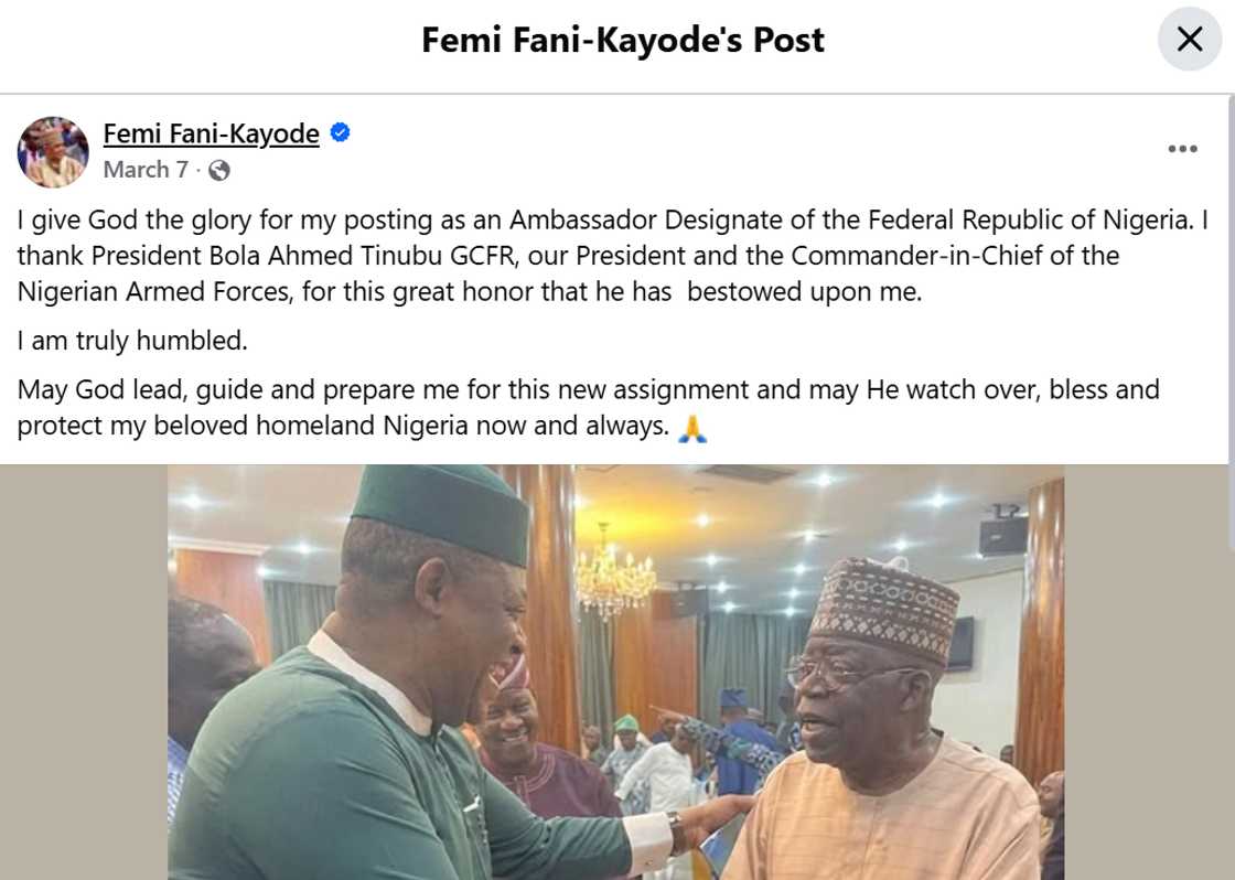 Screenshot of Femi Fani-Kayode’s social media post expressing delight over his posting to Germany.