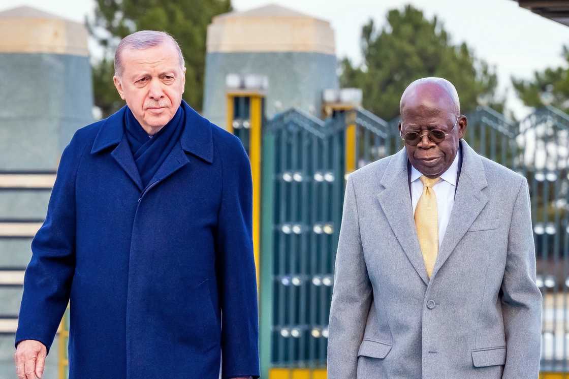 Shugaban Najeriya da na Turkiyya