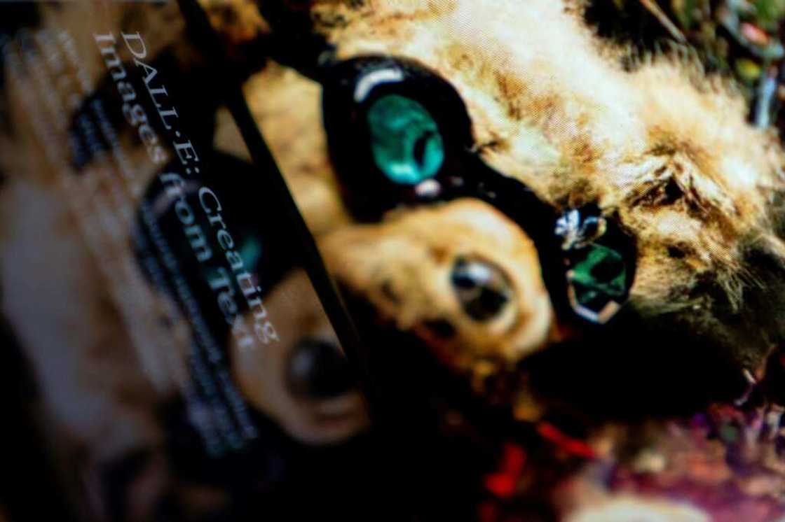 A photo illustration shows the DALL-E website on a cellphone A photo illustration shows the DALL-E website on a cellphone