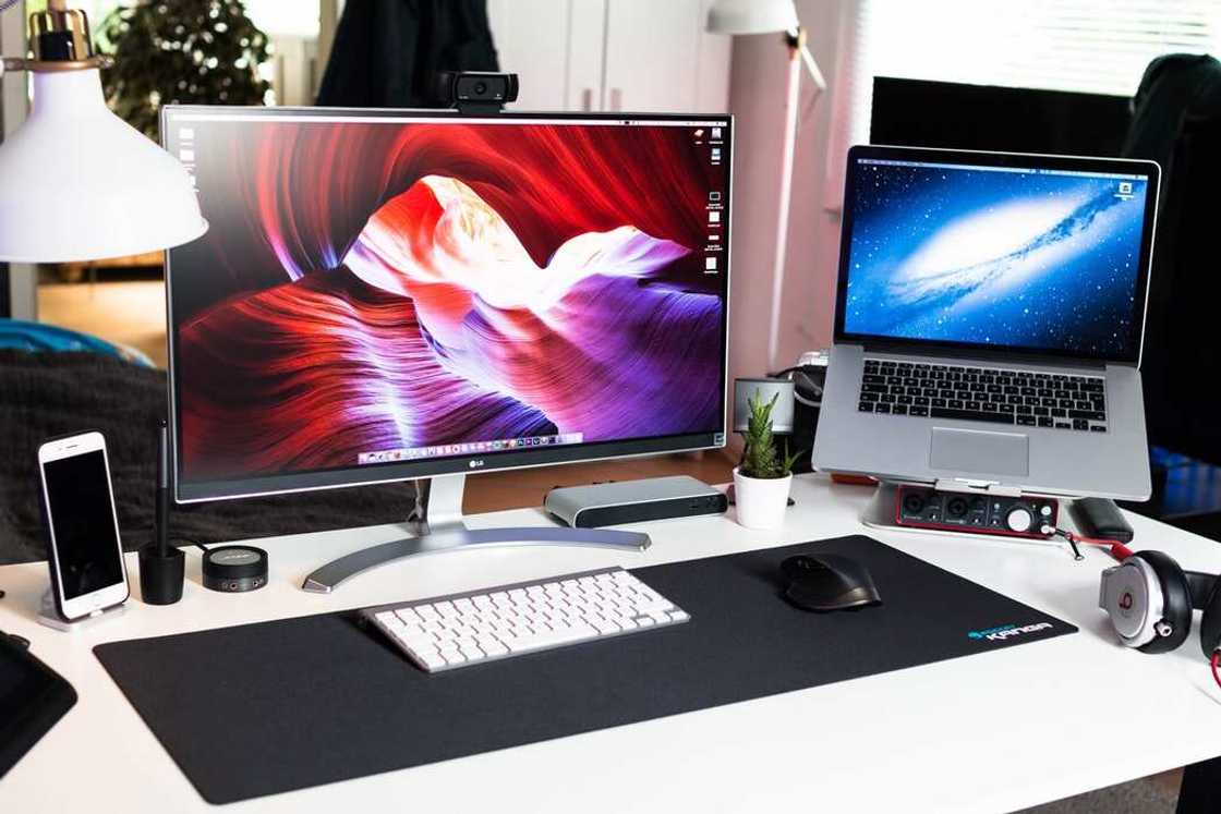 What are the 3 different types of monitors?