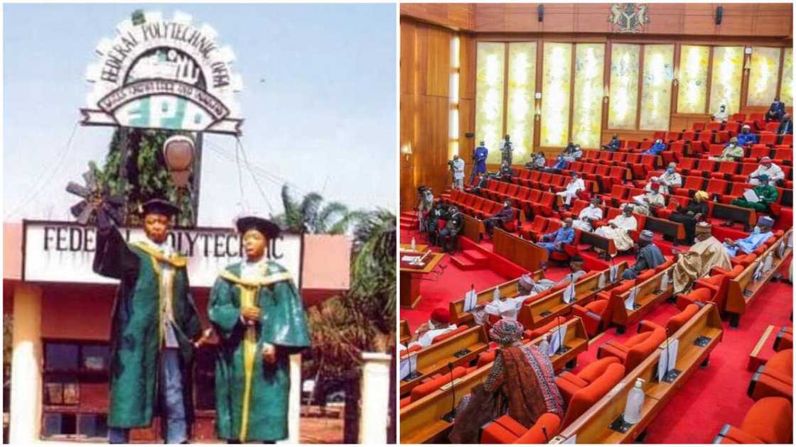 Offa Poly: Senate Upgrades Nigerian Polytechnic to University Offa Poly: Senate Upgrades Nigerian Polytechnic to University