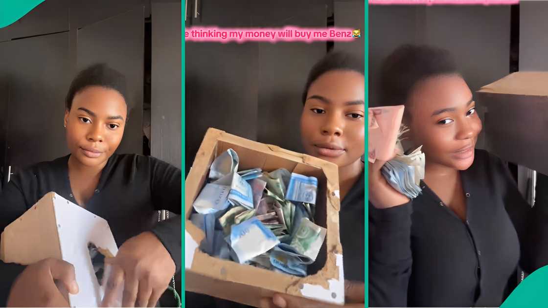 Lady Who Opened Her Piggy Box After Saving for a Year Shares How Much She Found Inside, Many React Lady Who Opened Her Piggy Box After Saving for a Year Shares How Much She Found Inside, Many React