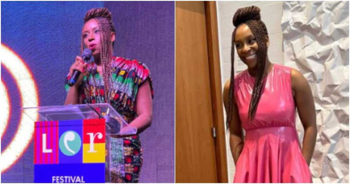 Chimamanda Adiechie on national honour