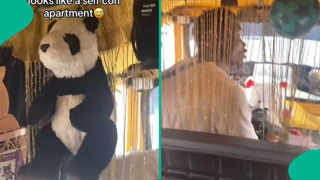 Nigerian lady is surprised by tricycle decorated like self-contained apartment with teddy bear, curtains, and pillows, rider charges normal fares, video sparks reactions online. Nigerian lady is surprised by tricycle decorated like self-contained apartment with teddy bear, curtains, and pillows, rider charges normal fares, video sparks reactions online.