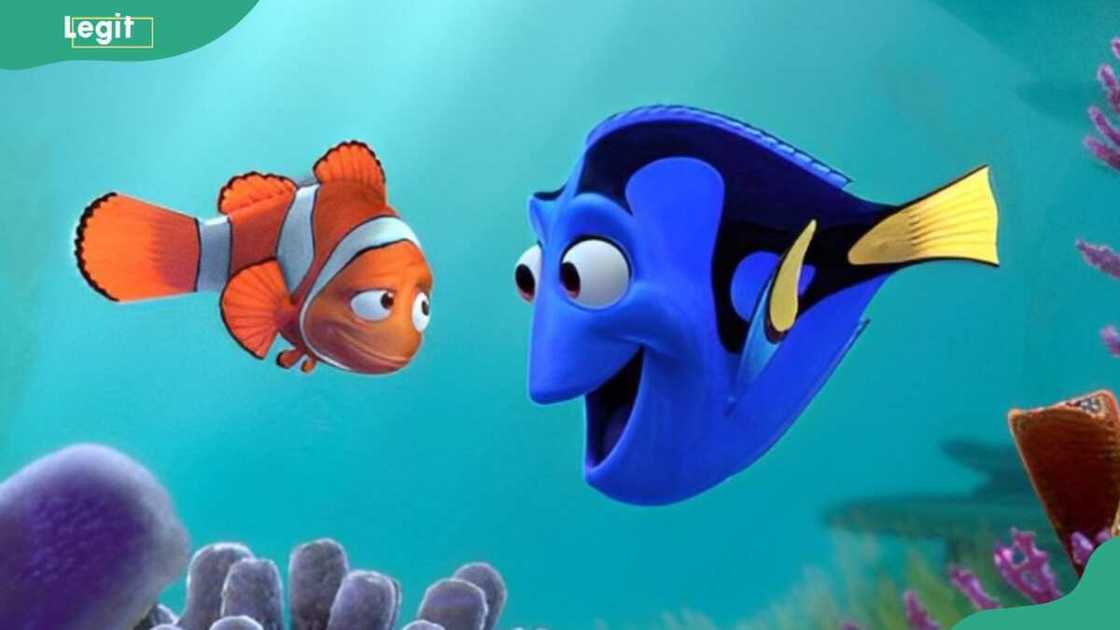Marlin and Dory Marlin and Dory