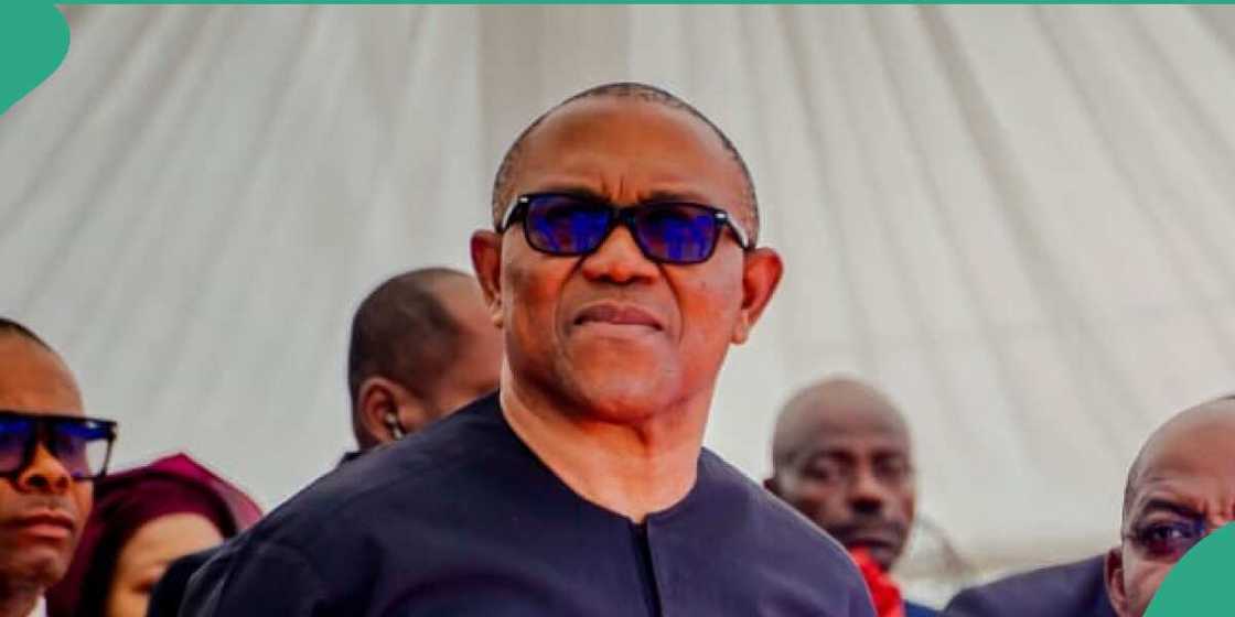 Peter Obi/Peter Obi news/Peter Obi news today/Labour Party