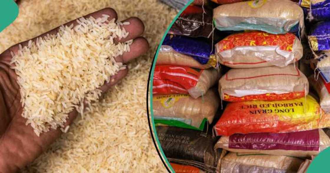 Rice price rises again Rice price rises again