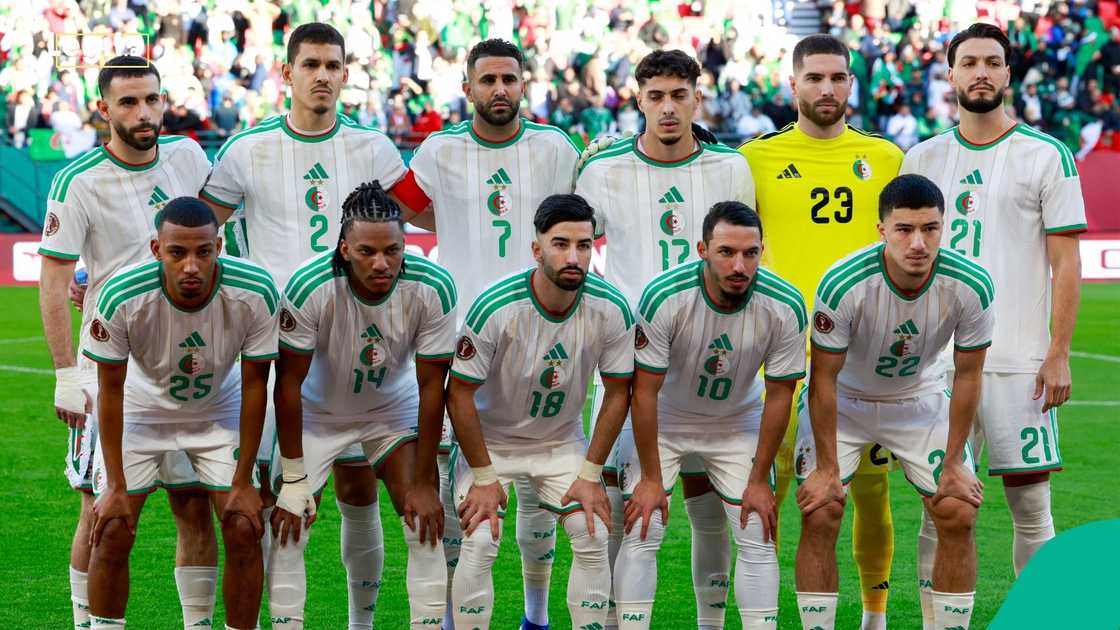 Algeria, Vladimir Petkovic, Nigeria, AFCON 2025, Morocco, Super Eagles. Algeria, Vladimir Petkovic, Nigeria, AFCON 2025, Morocco, Super Eagles.