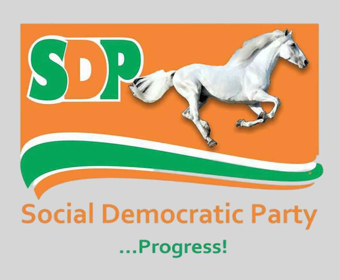 SDP's logo SDP's logo