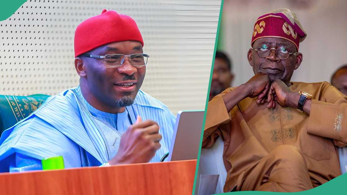 Reps under fire over bill to establish Tinubu University Reps under fire over bill to establish Tinubu University