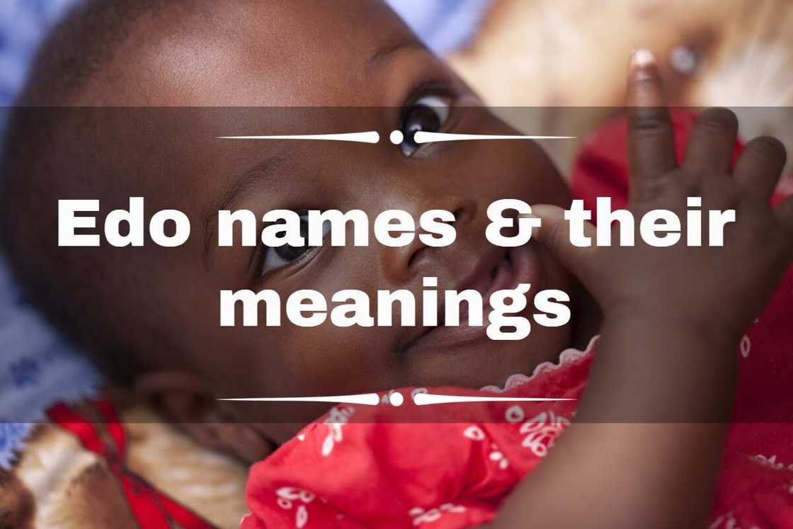 edo names edo names