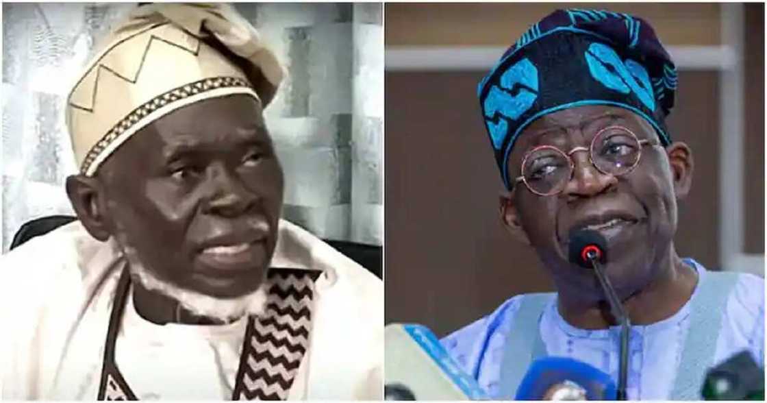 TInubu Apapa TInubu Apapa