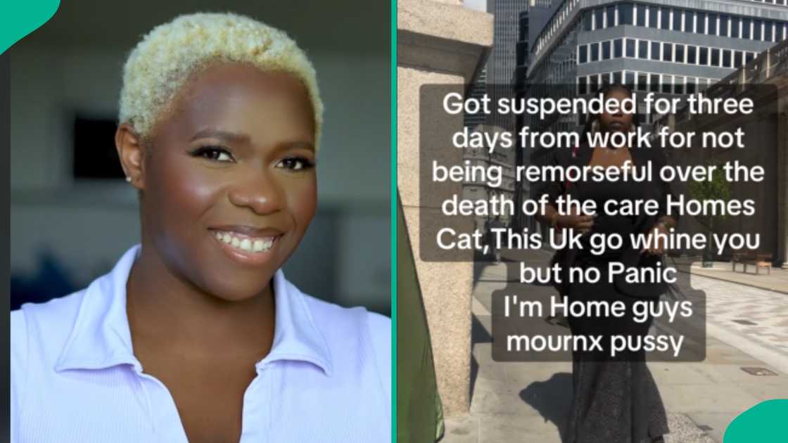 Lady handed suspension from work for 3 days for not being sorry over death of care home's cat Lady handed suspension from work for 3 days for not being sorry over death of care home's cat