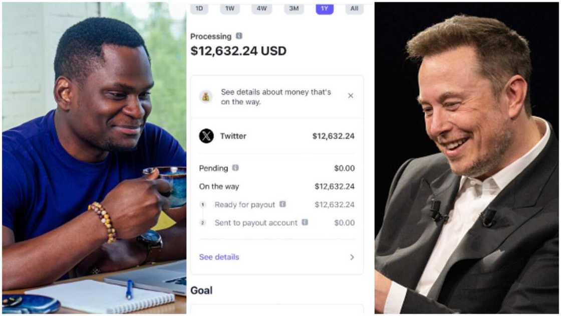 Elon Musk's X/Twitter paid influencer'. Elon Musk's X/Twitter paid influencer'.
