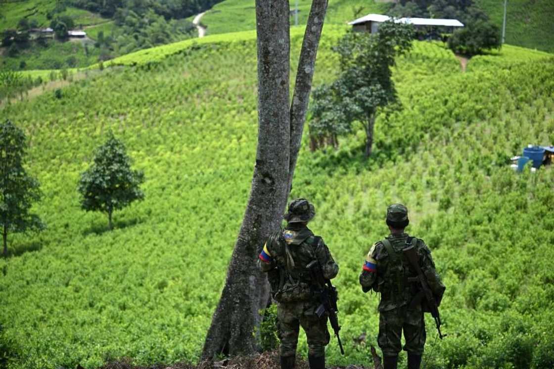 For rural youth with few opportunities the armed groups offer a prospect of financial stability For rural youth with few opportunities the armed groups offer a prospect of financial stability