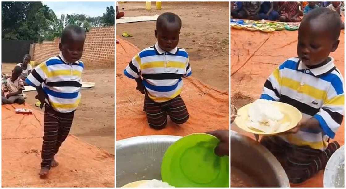 Baby Emma kneels respectfully to take his food.