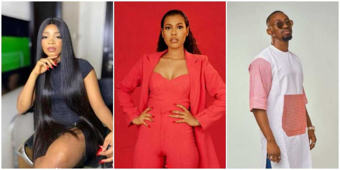 Photos of Queen, Nini and Saga. Photos of Queen, Nini and Saga.