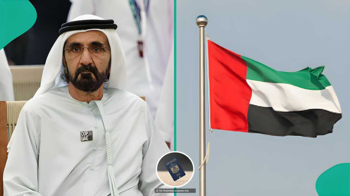 UAE lists residence permit requirements, posts application fee