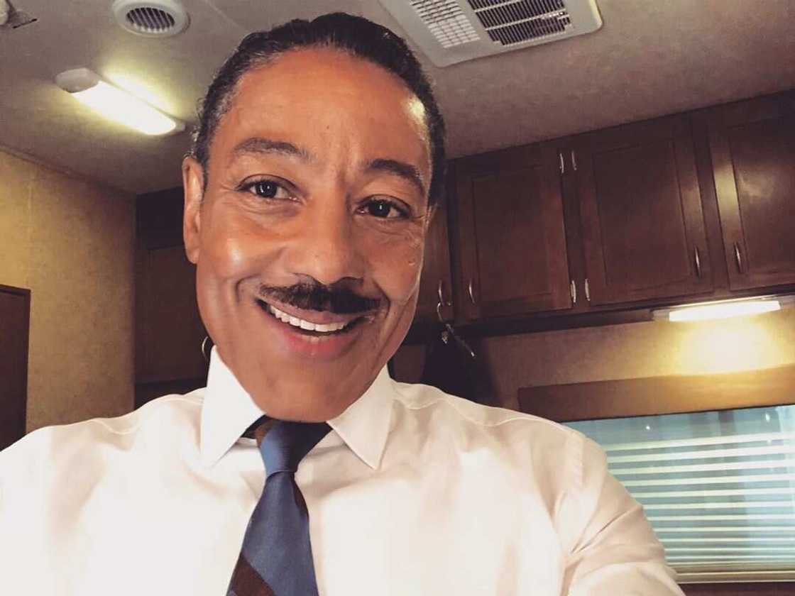 The Boys Show The Boys Show