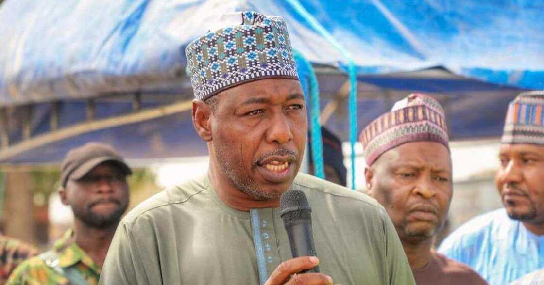 Gwamna Babagana Umaru Zulum. Gwamna Babagana Umaru Zulum.