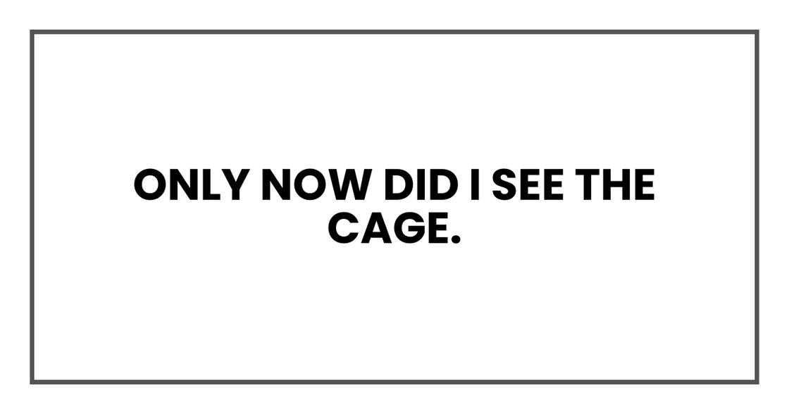 Realisation. Realisation.