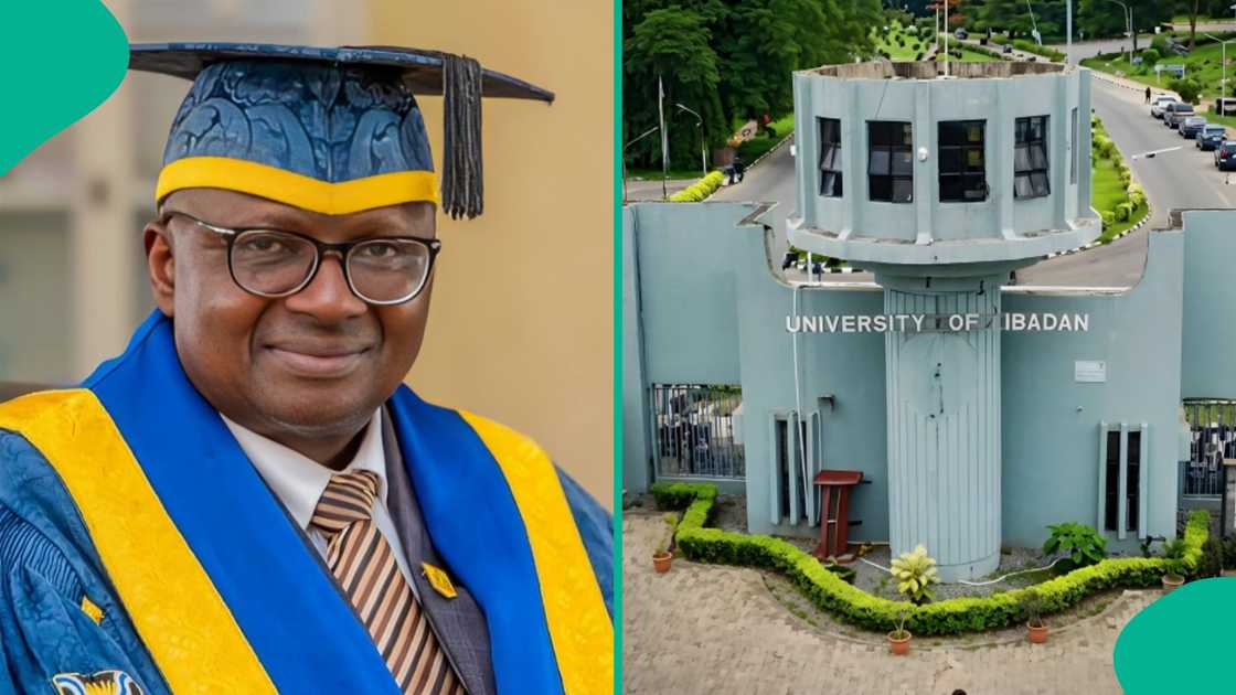 University of Ibadan announces 2026 cut-off marks for undergraduate admission University of Ibadan announces 2026 cut-off marks for undergraduate admission