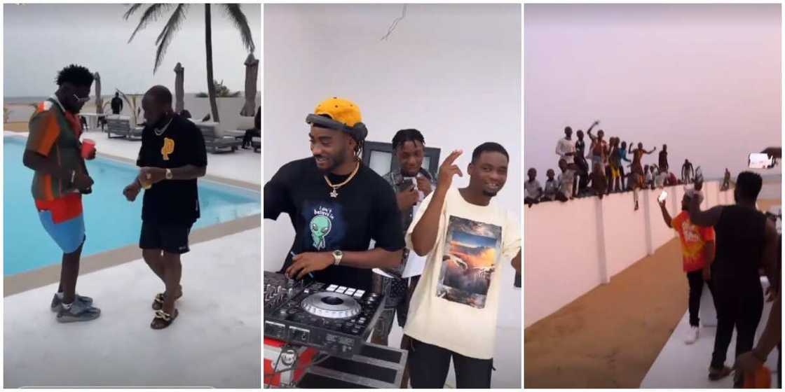 Fans risk it all for Davido Fans risk it all for Davido